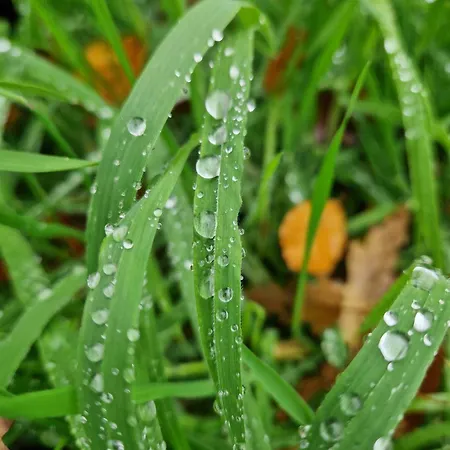 Kilpatrick Glebe Tatil Evi *