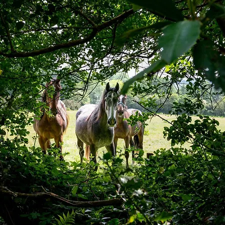 Kilpatrick Glebe Tatil Evi