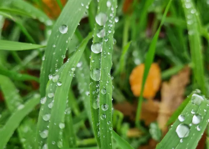 Kilpatrick Glebe 펜션 *